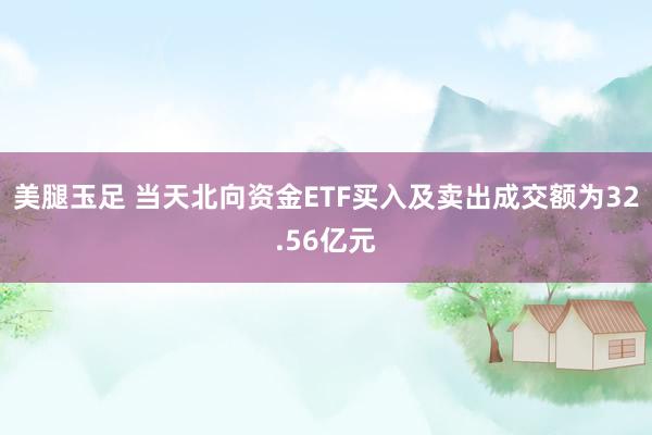 美腿玉足 当天北向资金ETF买入及卖出成交额为32.56亿元