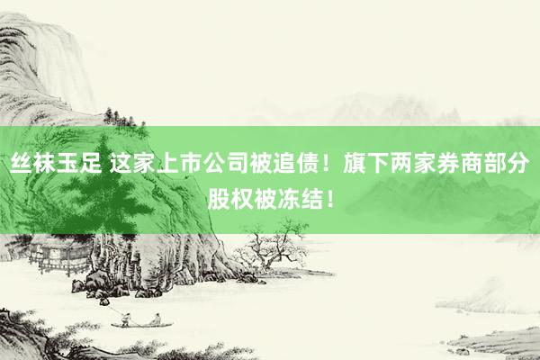 丝袜玉足 这家上市公司被追债！旗下两家券商部分股权被冻结！