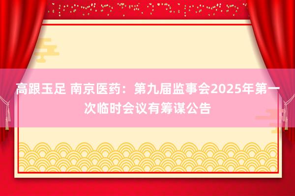 高跟玉足 南京医药：第九届监事会2025年第一次临时会议有筹谋公告