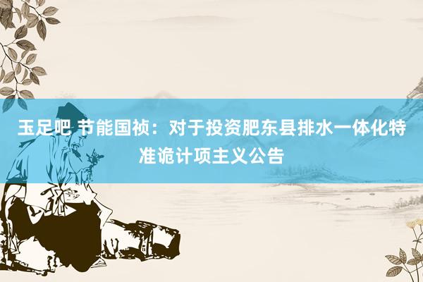 玉足吧 节能国祯：对于投资肥东县排水一体化特准诡计项主义公告