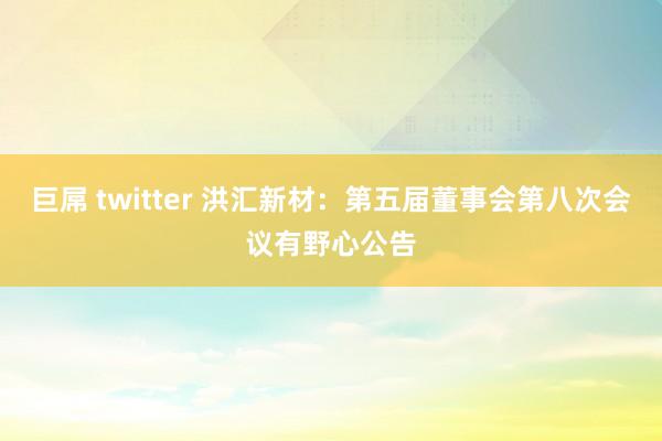 巨屌 twitter 洪汇新材：第五届董事会第八次会议有野心公告