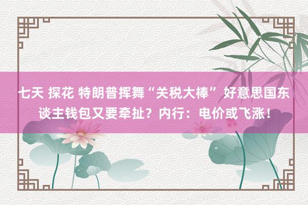 七天 探花 特朗普挥舞“关税大棒” 好意思国东谈主钱包又要牵扯？内行：电价或飞涨！