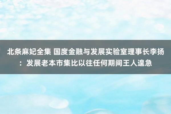 北条麻妃全集 国度金融与发展实验室理事长李扬：发展老本市集比以往任何期间王人遑急